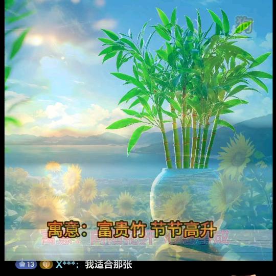 💞✨妙恋✨💞