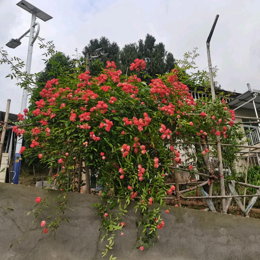 看淡一切。顺其自然。