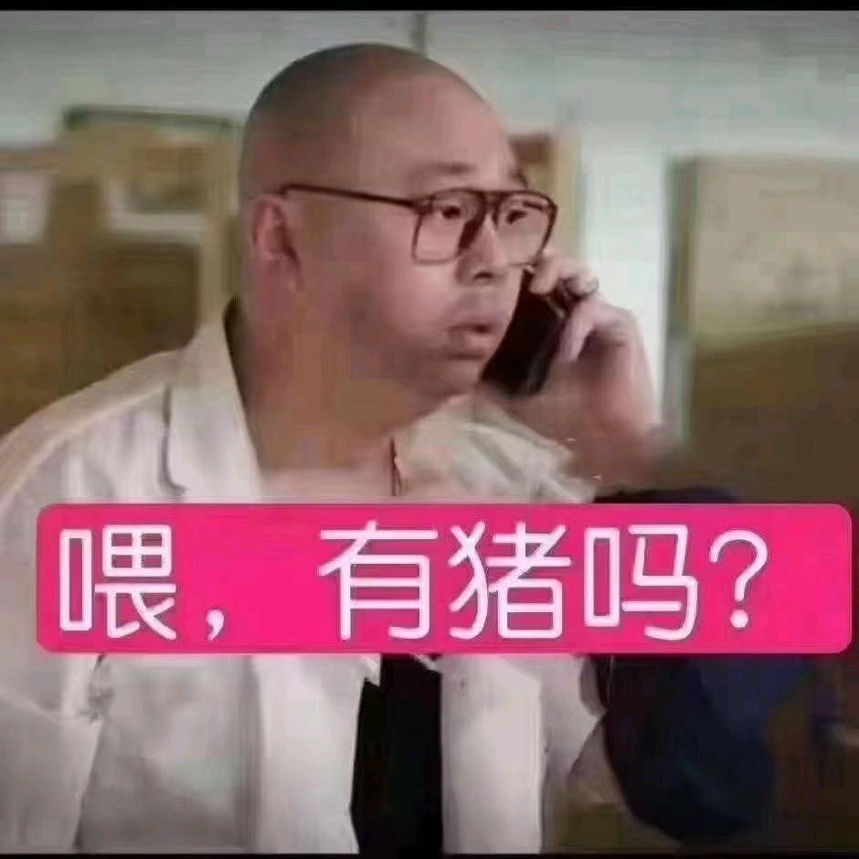 广东阳西大小猪收购🐷