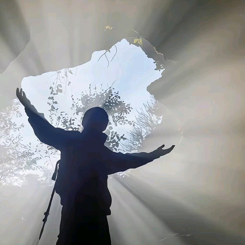 大理领阳兔业  王在平