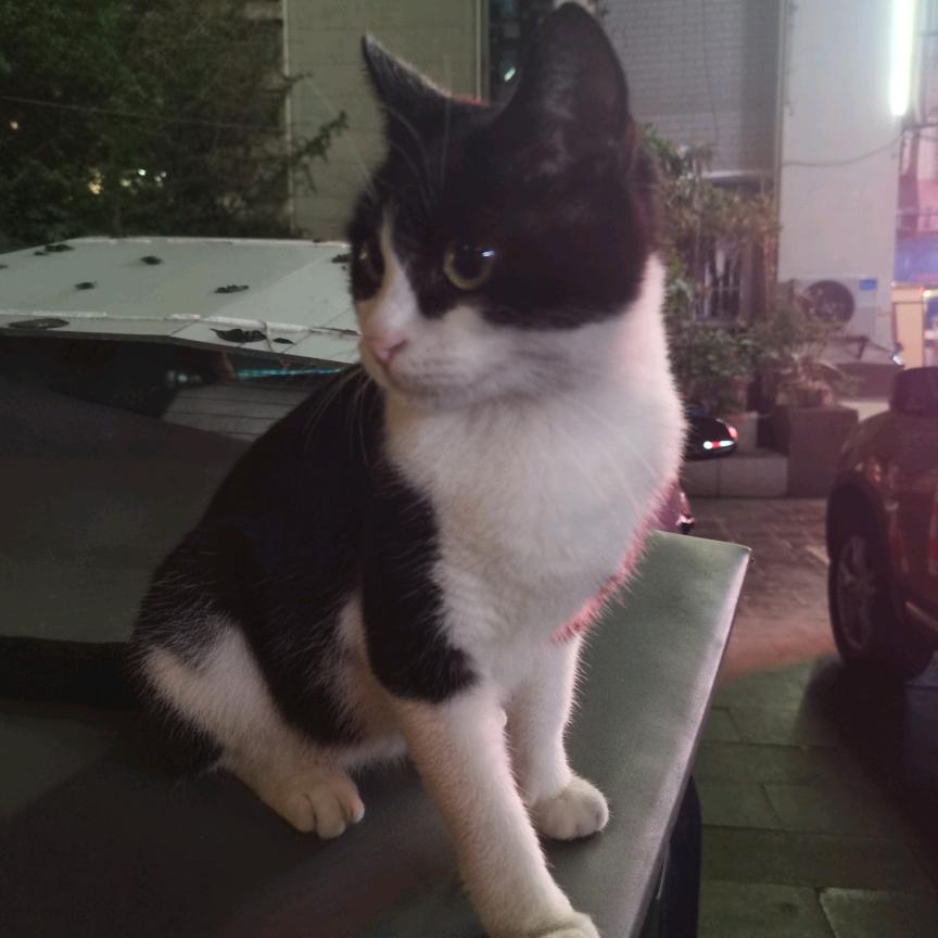 兴农中学姚老师