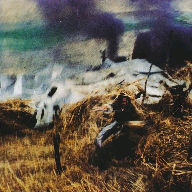 玫瑰控