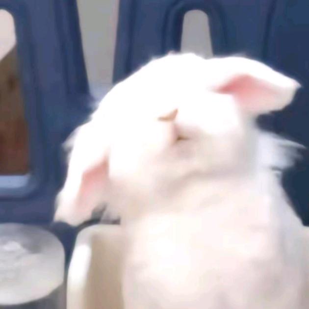 000000