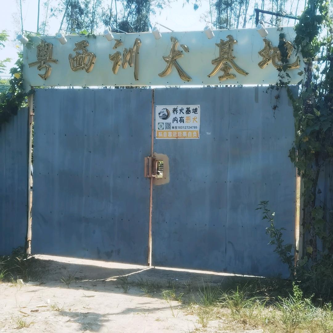 湛江市坡头区（粤西训犬基地）