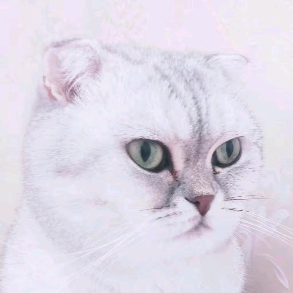 若不在、/便不再、