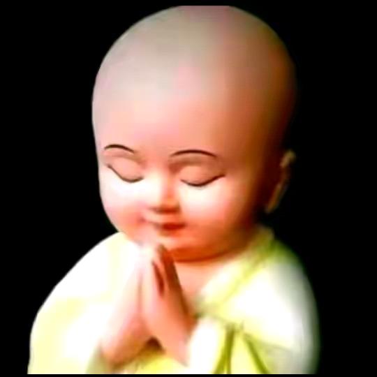青菜叶