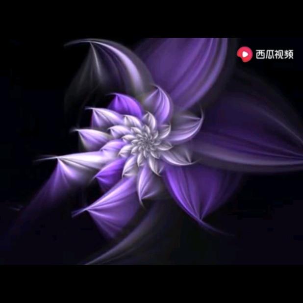 豫姐
