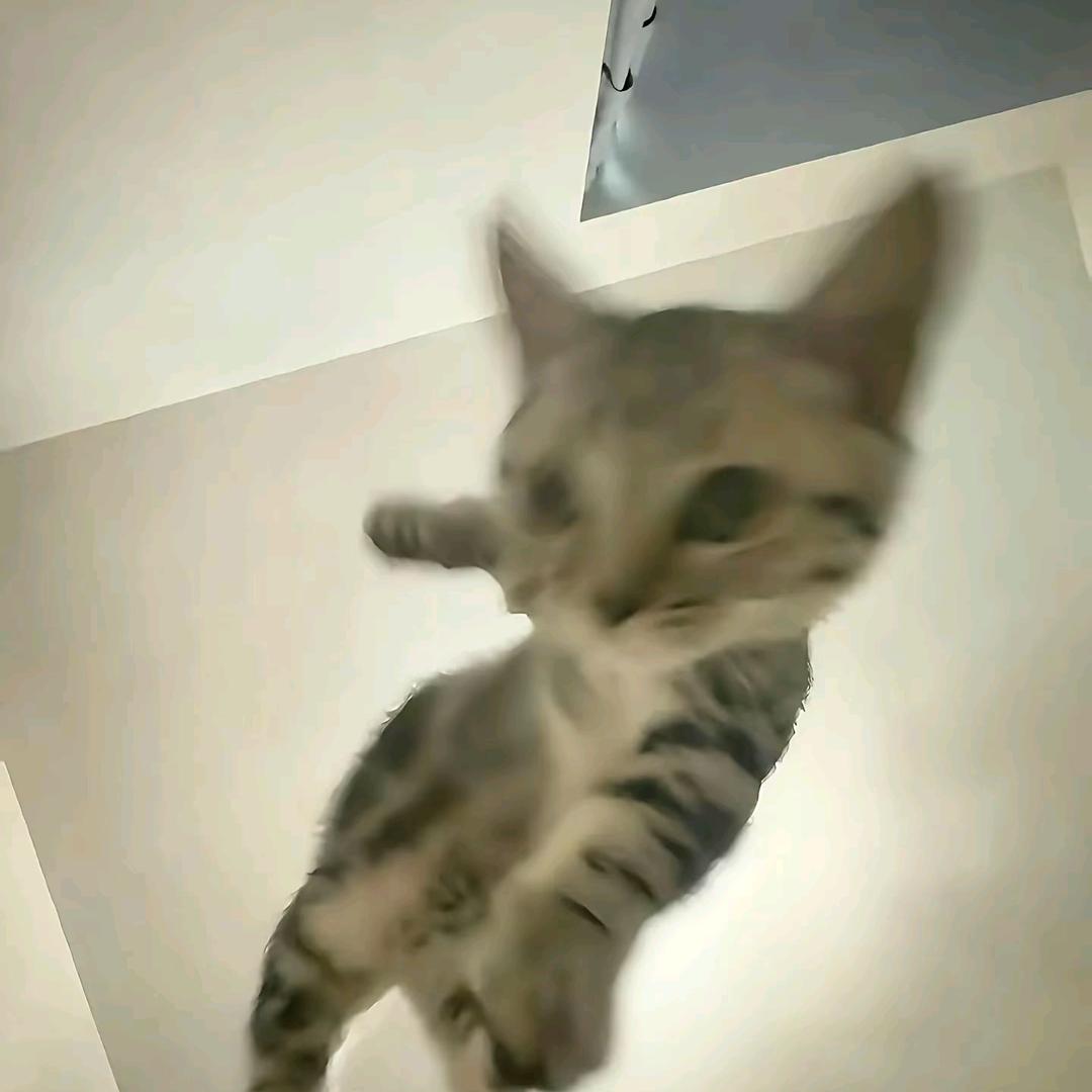 铭