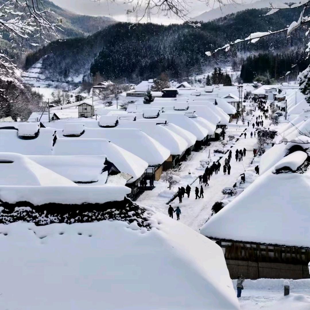 🕶️清风淡明月