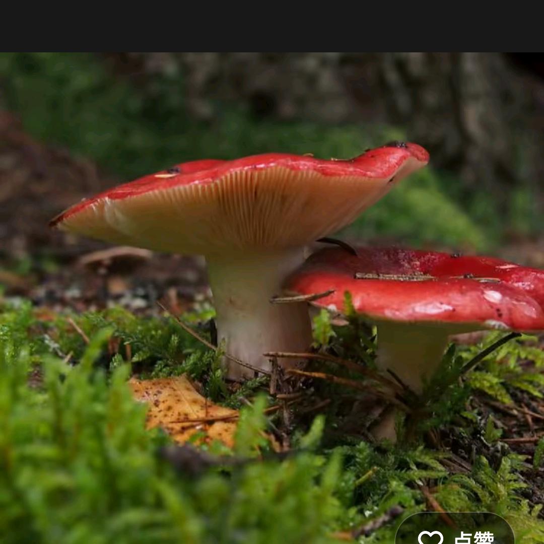 用户，想起当初，后悔现在