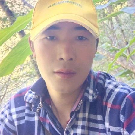 本人回复慢