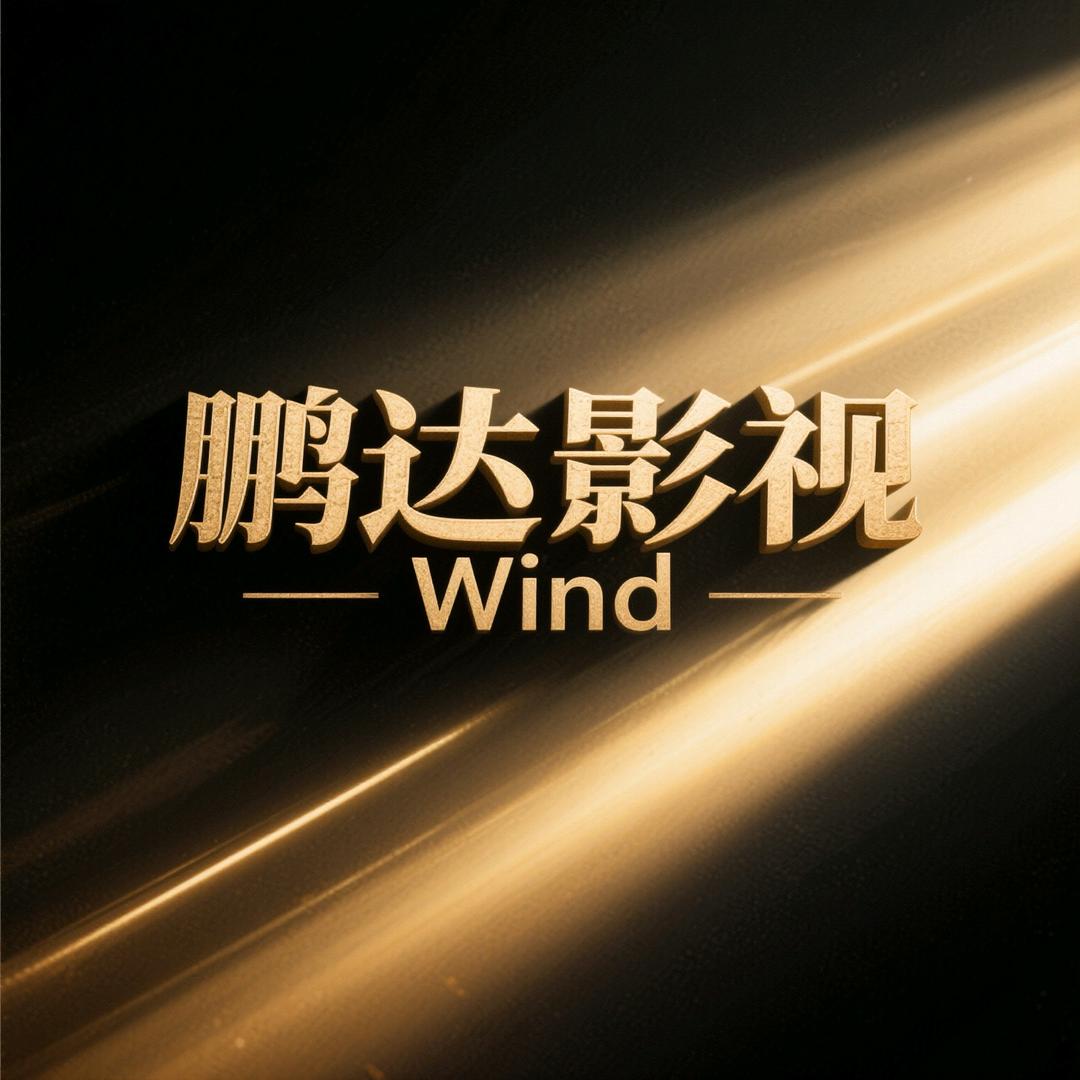 鹏达 影视
