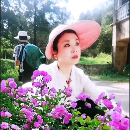 龙林菲