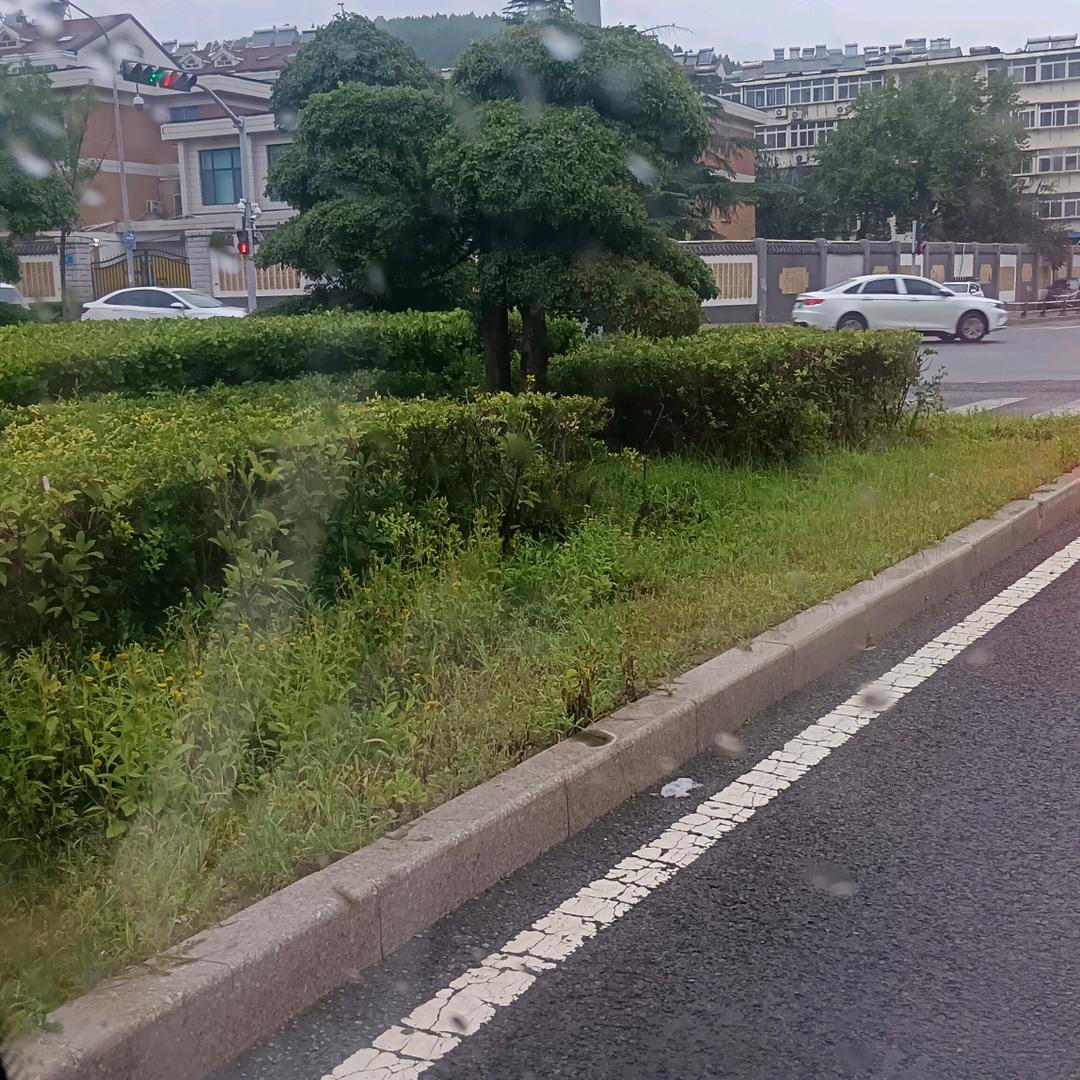 礼尚往来