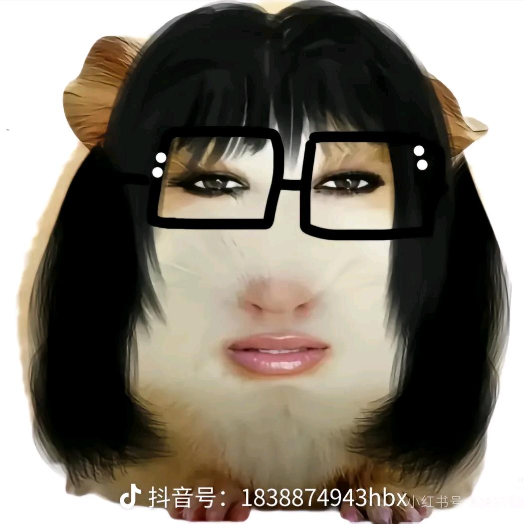 曲奇😜