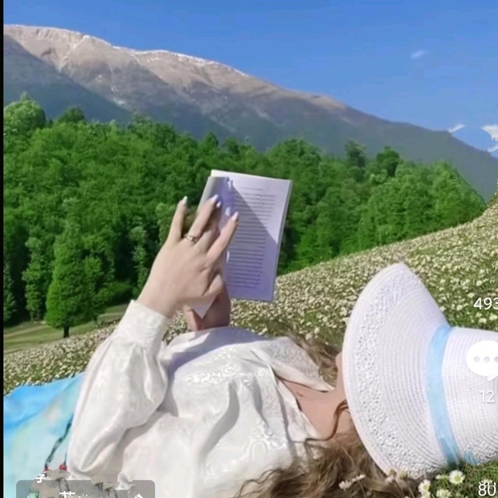 雁南飞@