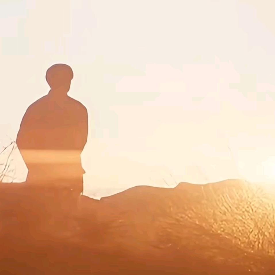 狮子也疯狂