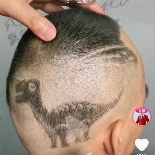 蝌蚪身上纹青蛙