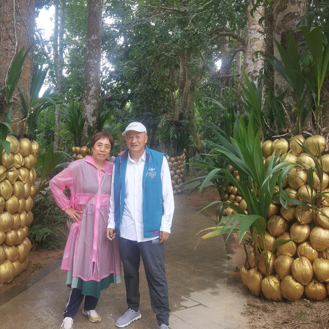 侠客龙哥游乐游