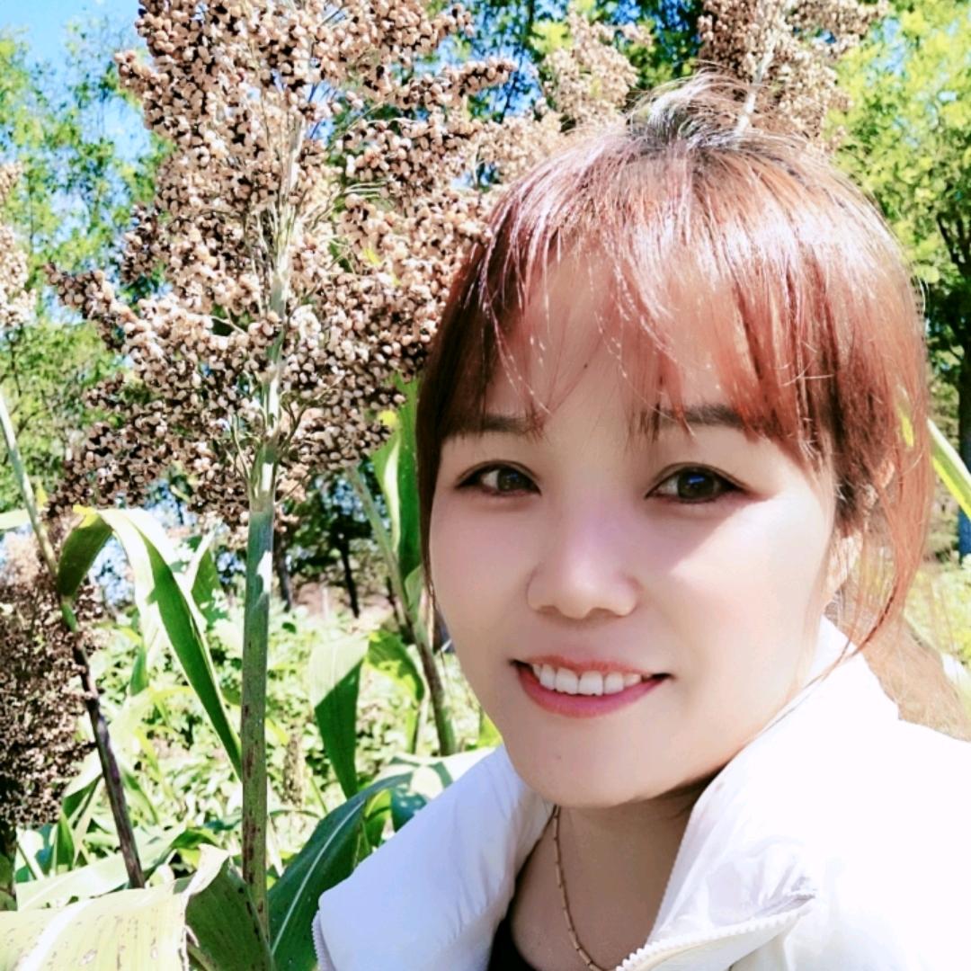 凤儿