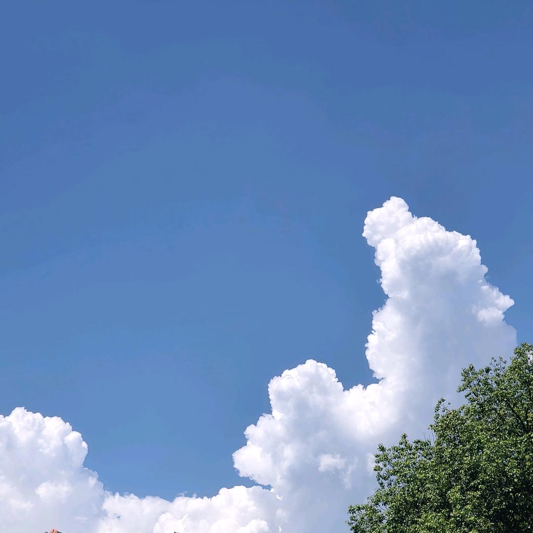 执着