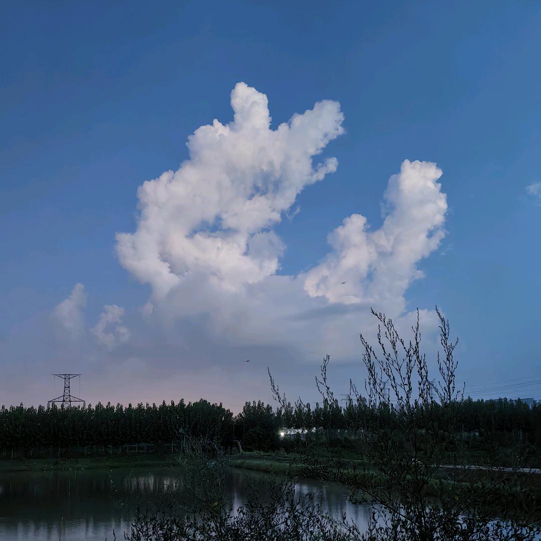🌈 就是我