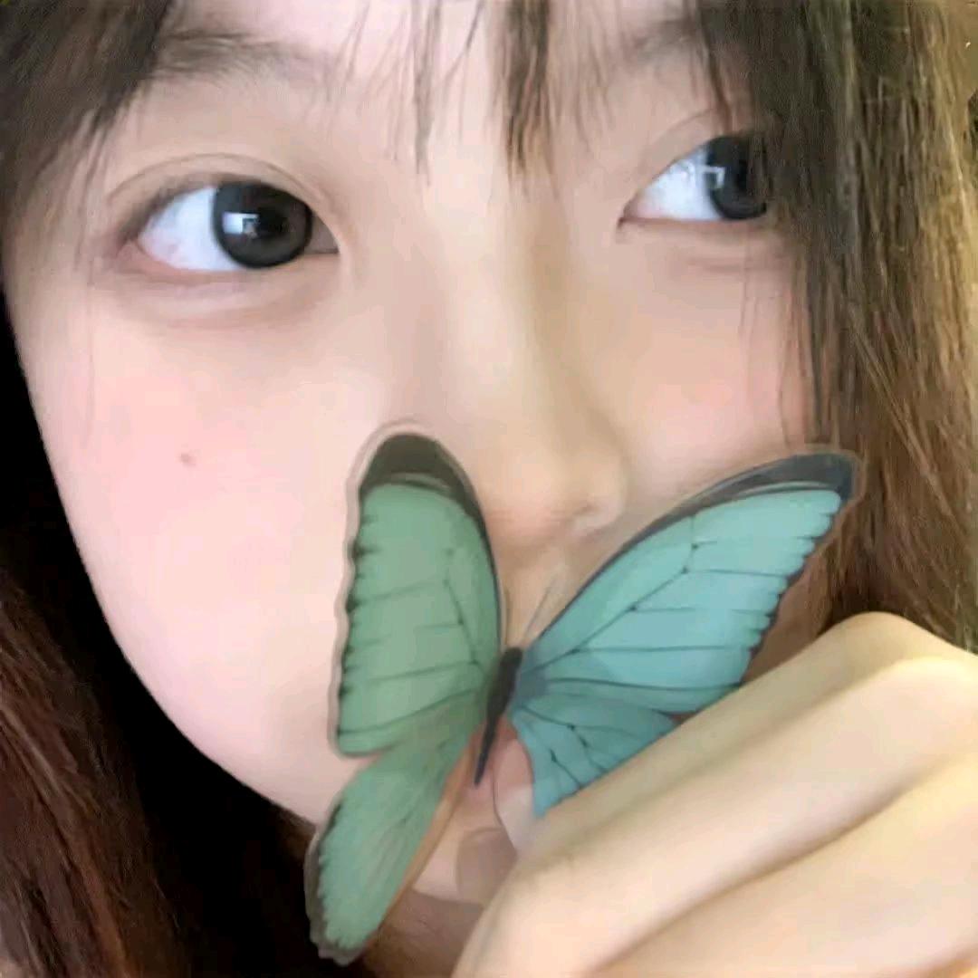 听风吻玫瑰