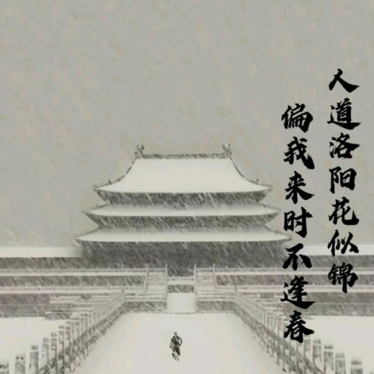 逍遥的麻雀