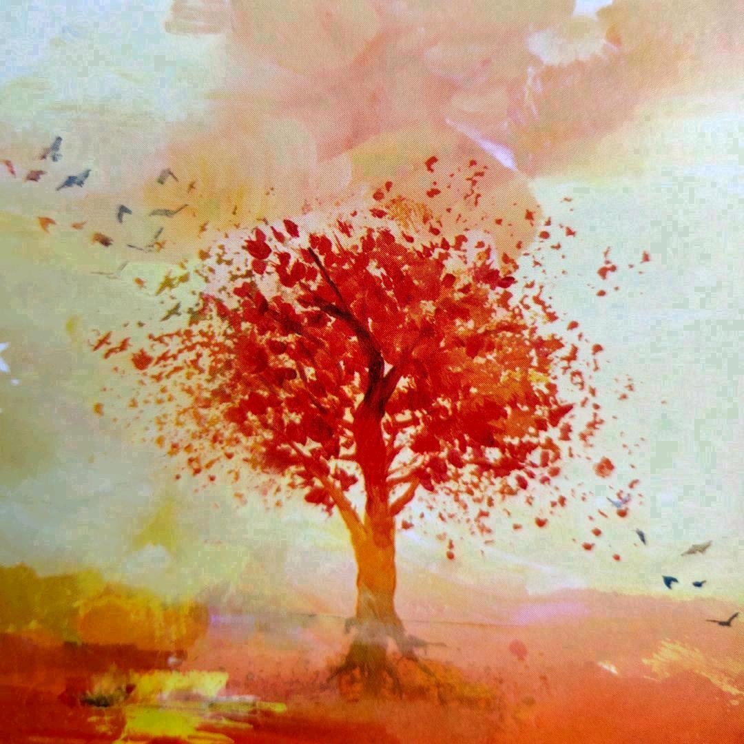 Heal The World🇨🇳