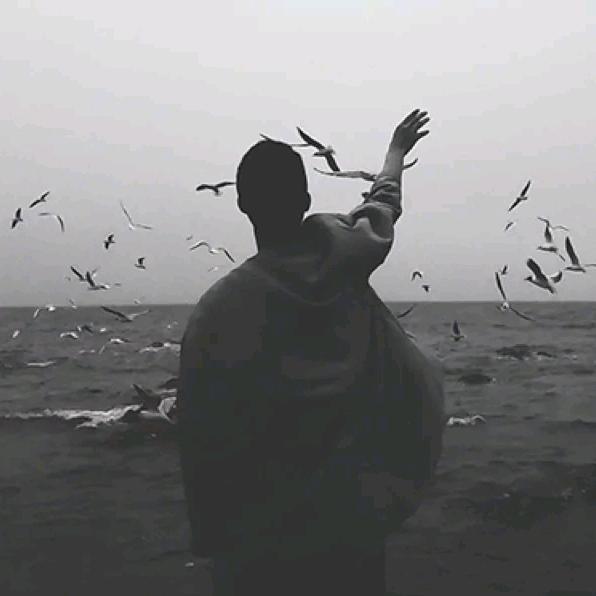 开心果幸福小狗🦴