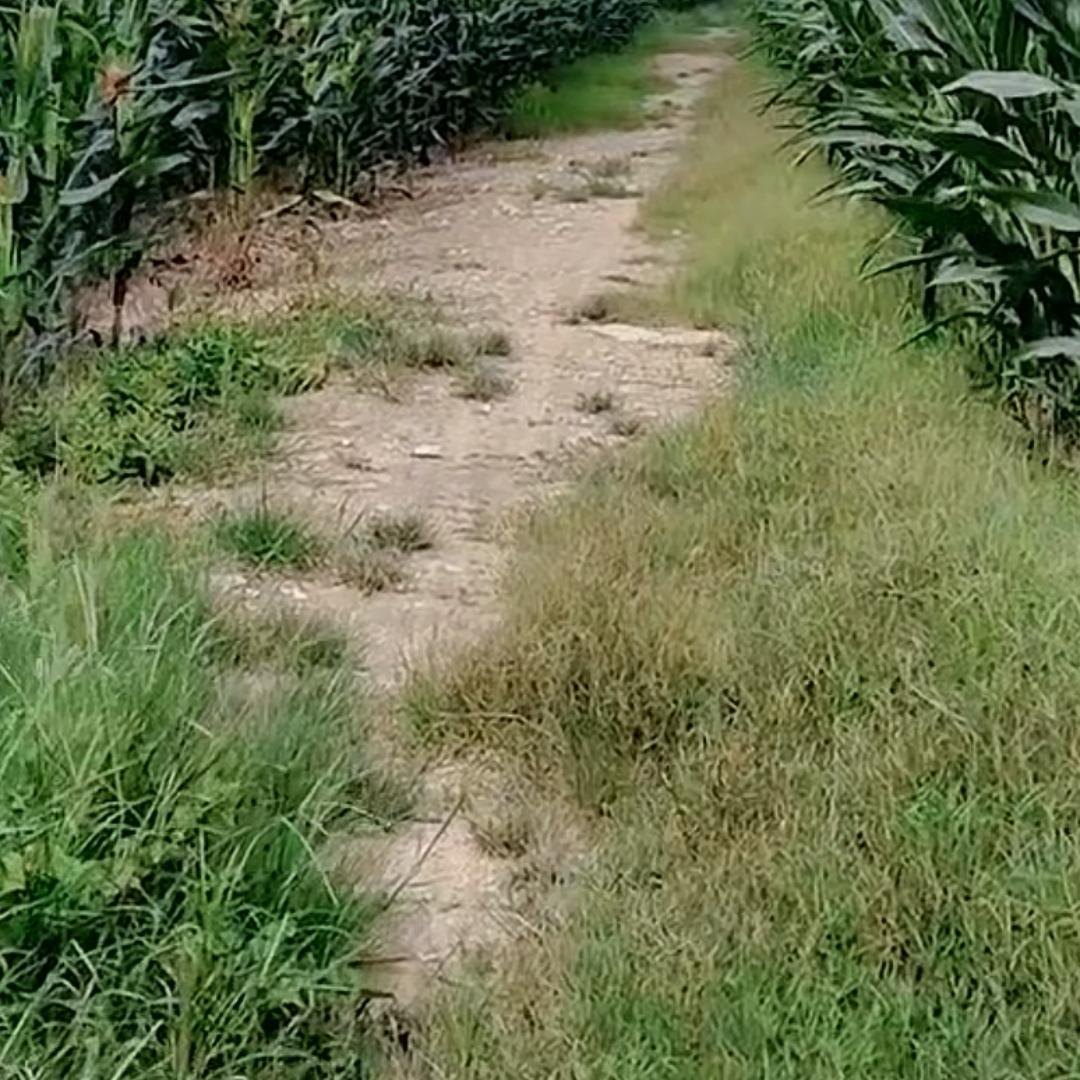 航者
