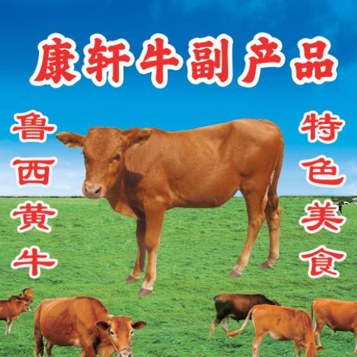 康轩生鲜冻品～食材