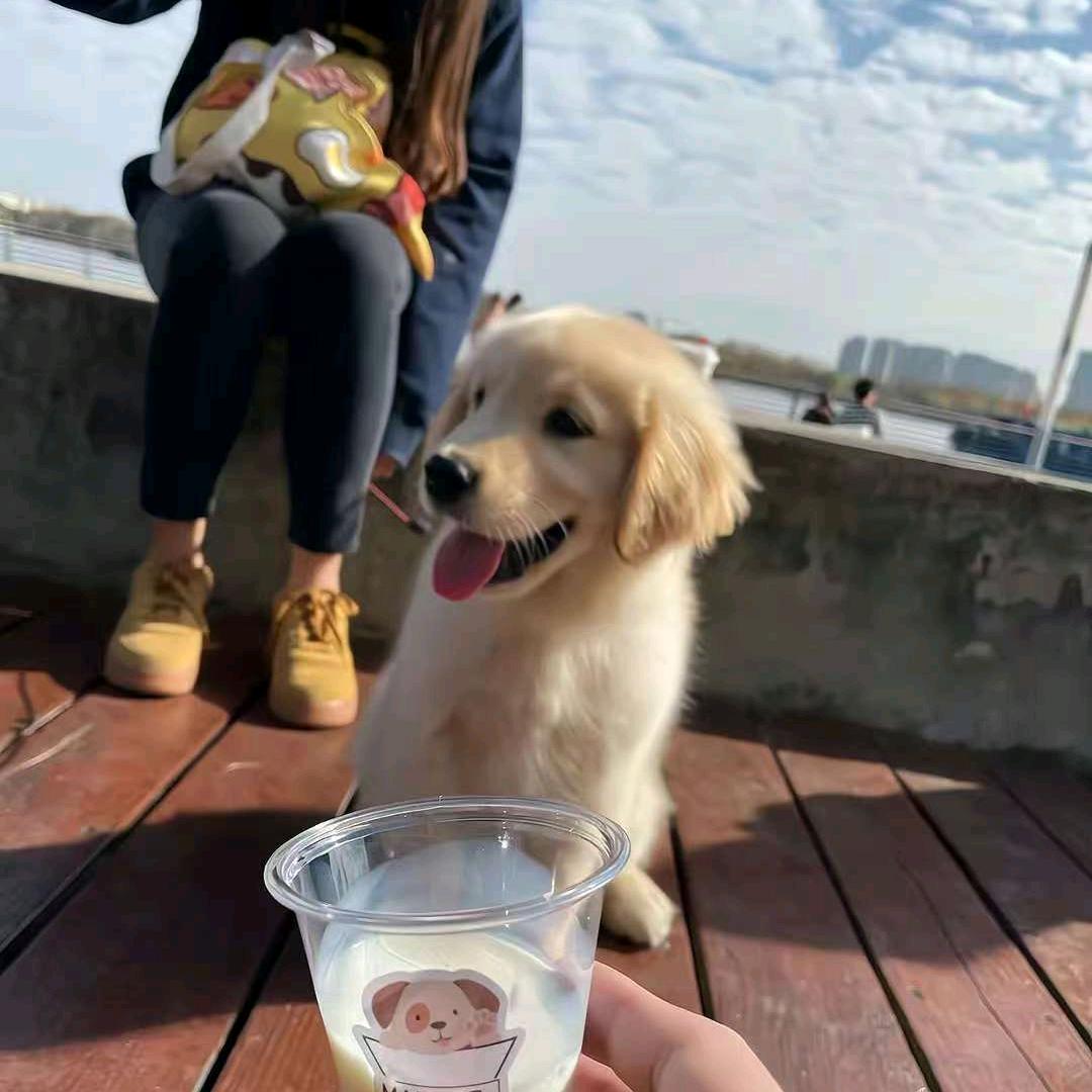 小哥哥售后