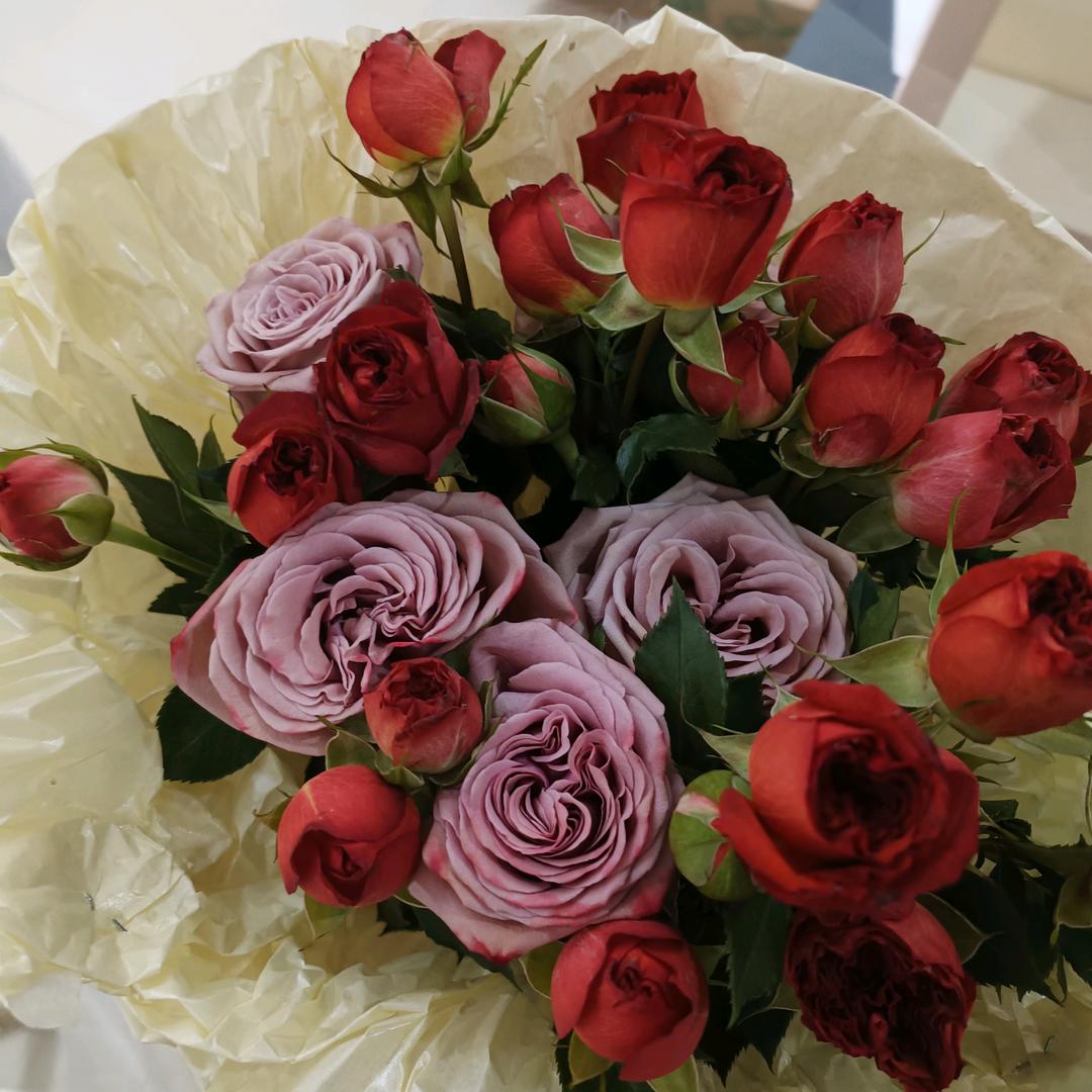 活出自己想要的样子