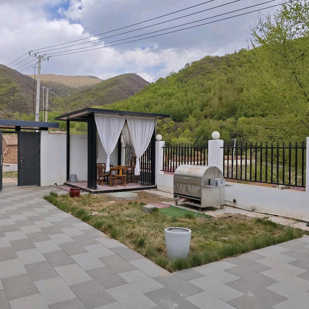 奶皮子手工酸奶1