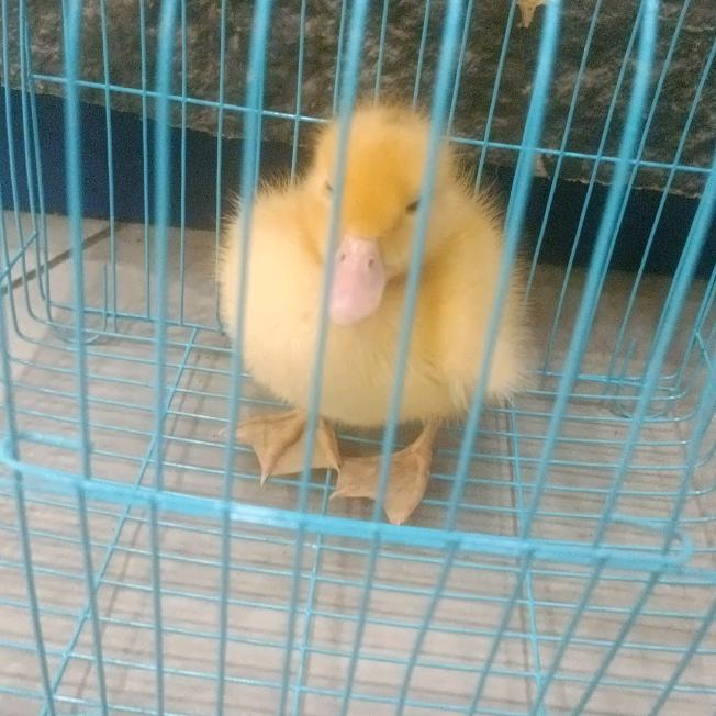 不哈哈