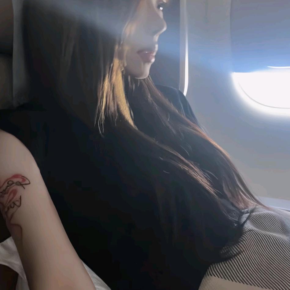 番茄本柿