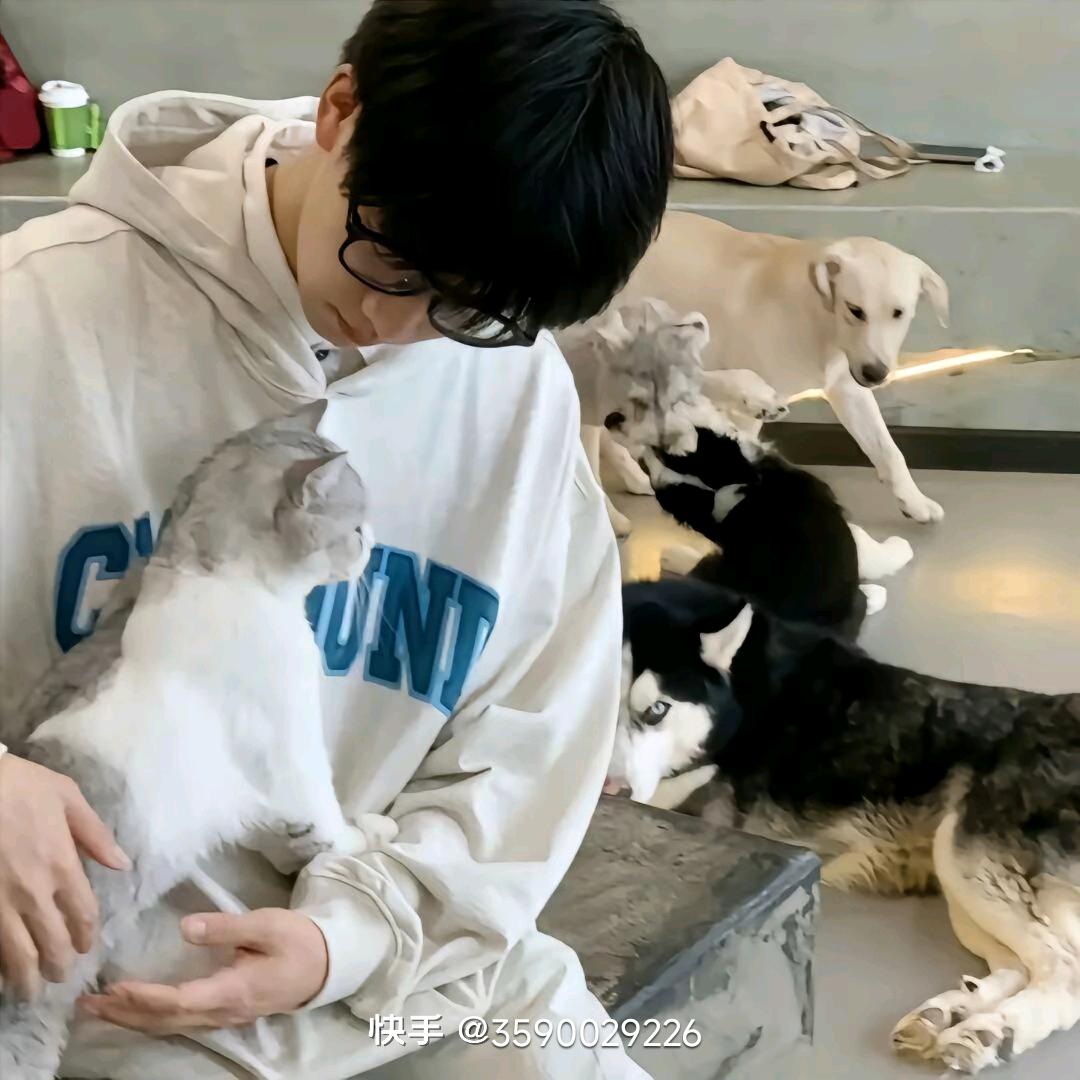起猛了