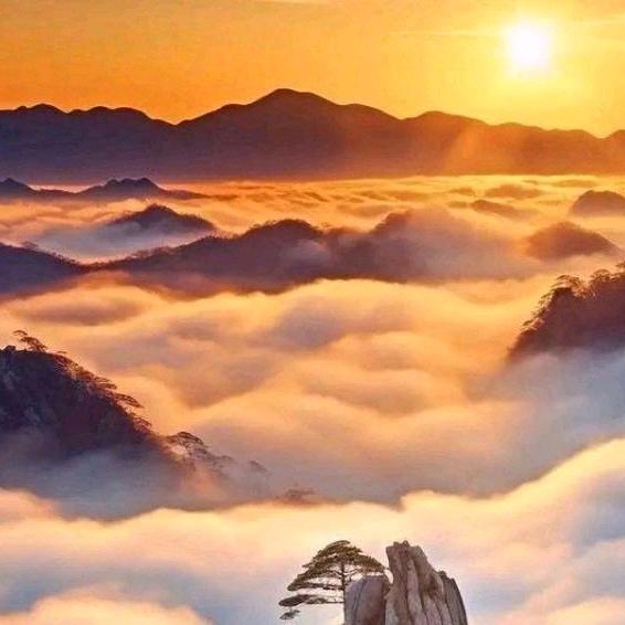 开着奥迪捡破烂