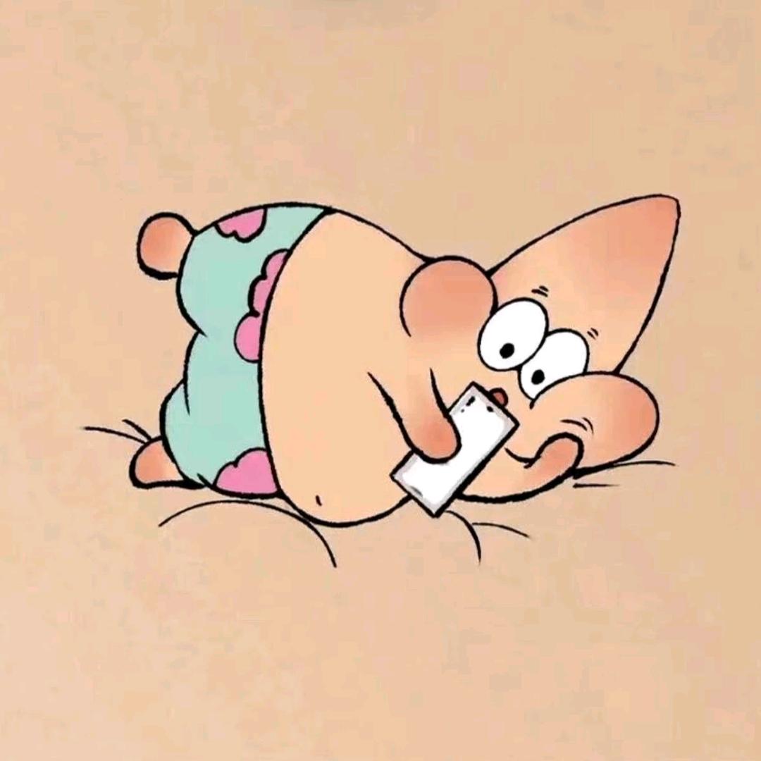 胖大星与海之宝