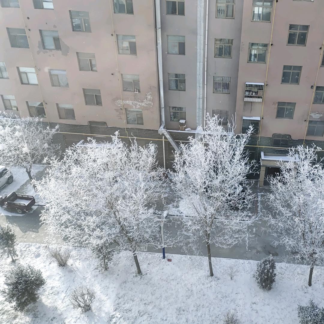 王震