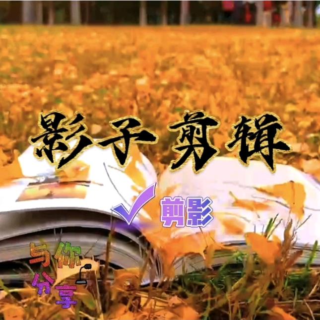 影 子