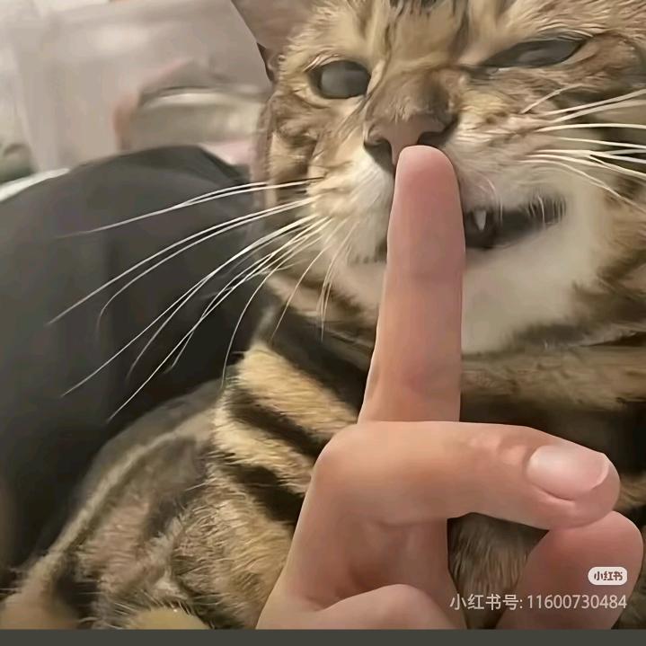 6年时光