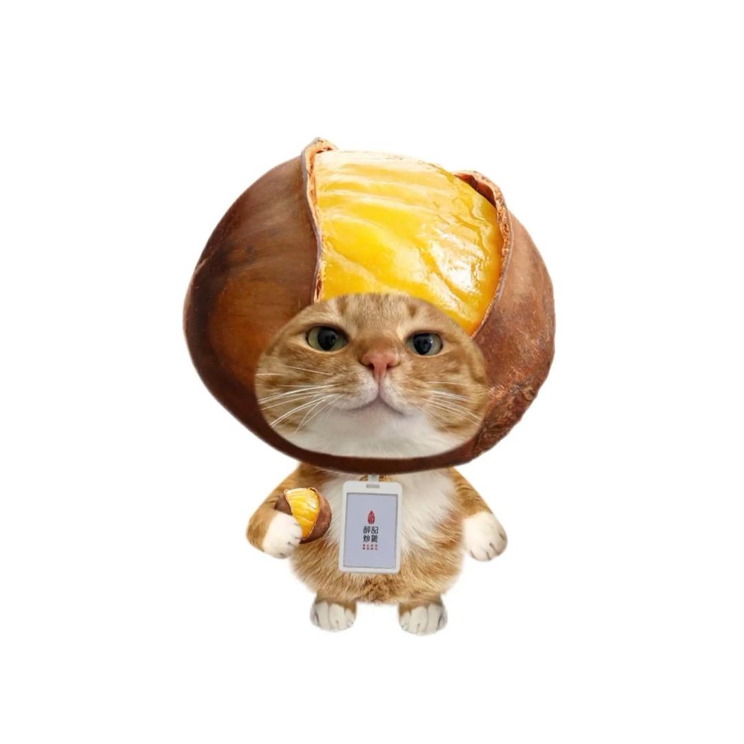 费费裂开惹（黄10元版）