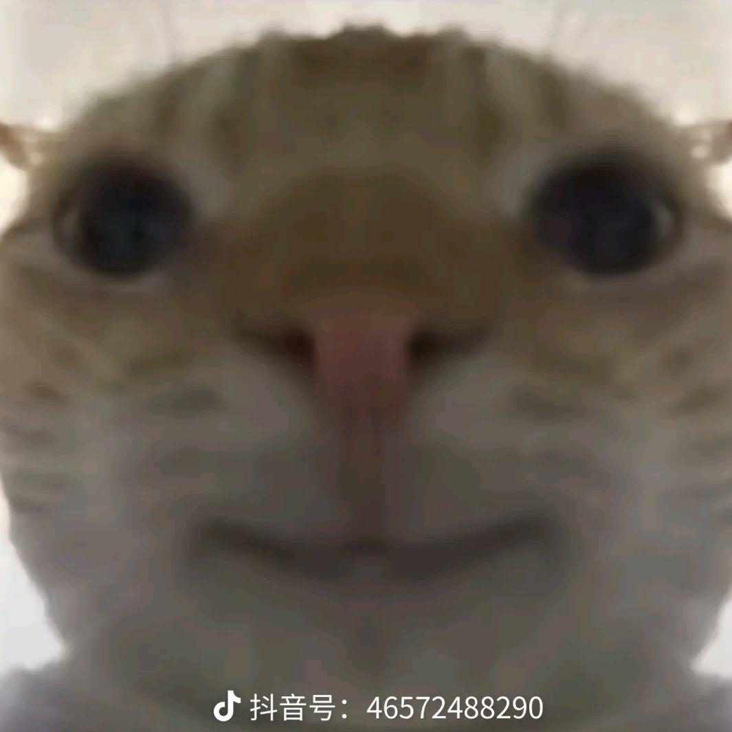 鼠鼠想出心