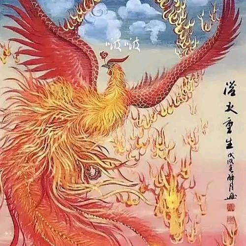用户77932570(双手插兜布挨布）