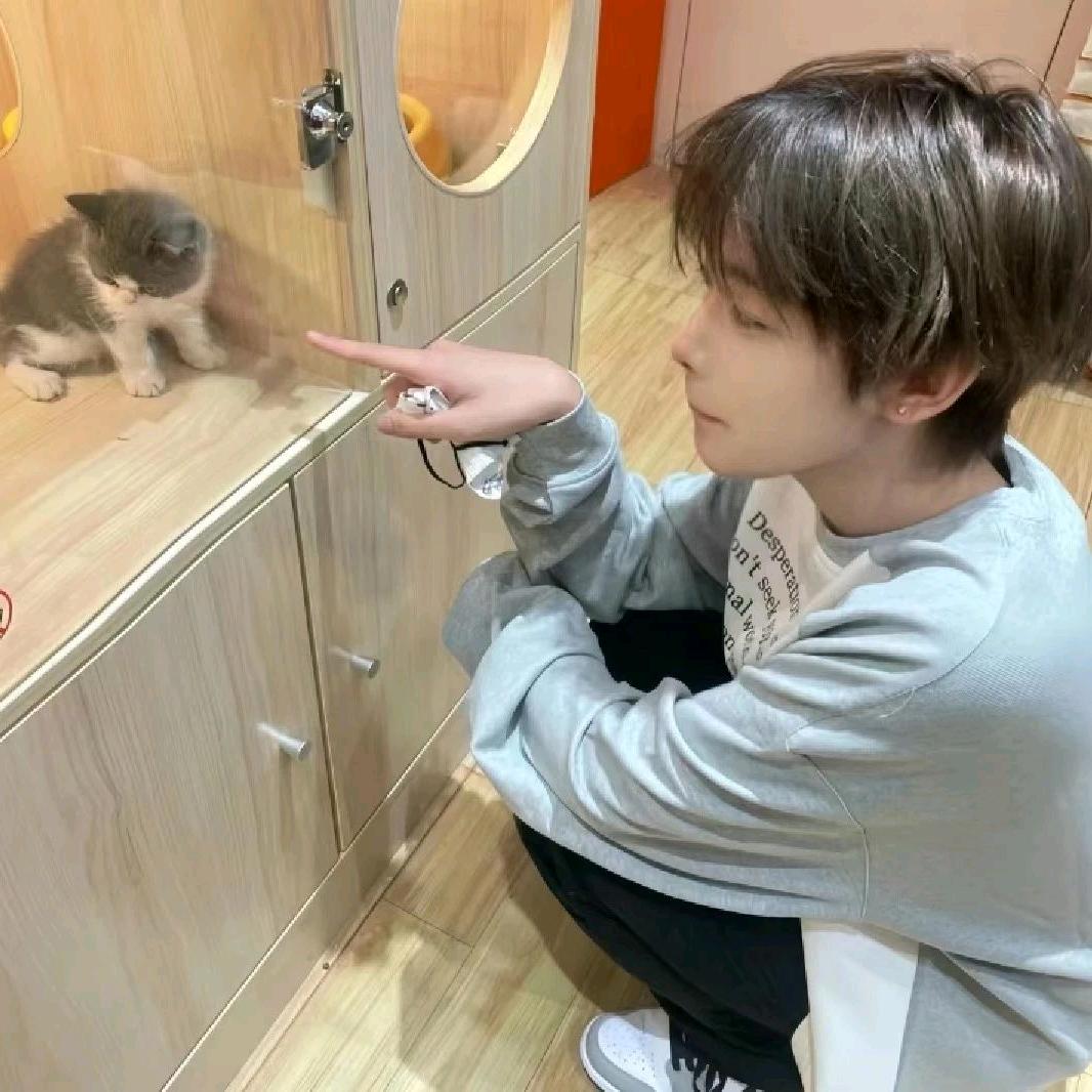 猫猫不是恋爱脑