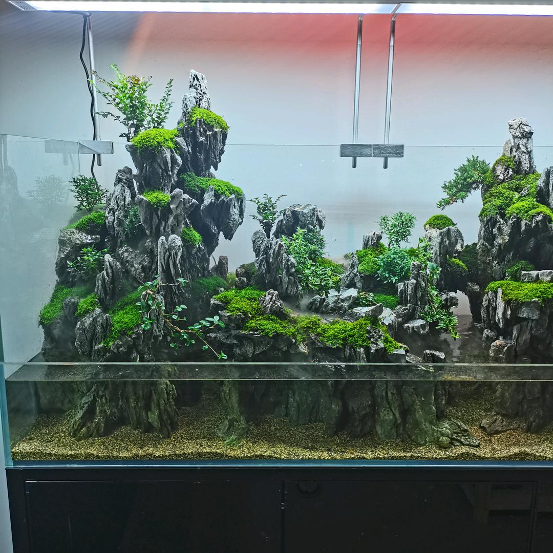 源生态水族景观