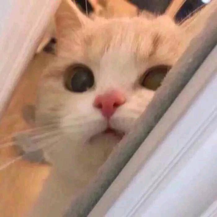 邮水瓶大王