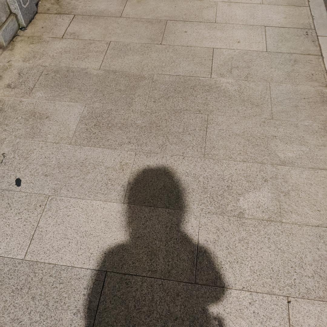 鱼𓆡 𓂂𓈒𓏸儿